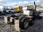 Lot #3304537447 2006 FREIGHTLINER COLUMBIA 1