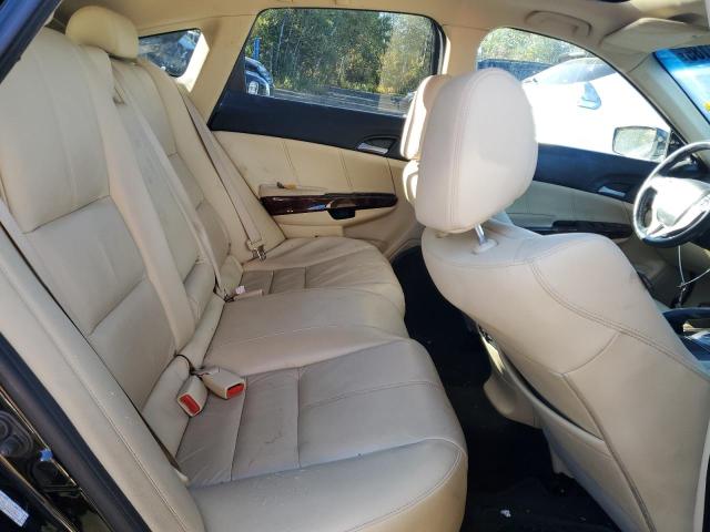 2010 HONDA ACCORD CRO - 5J6TF2H51AL800968