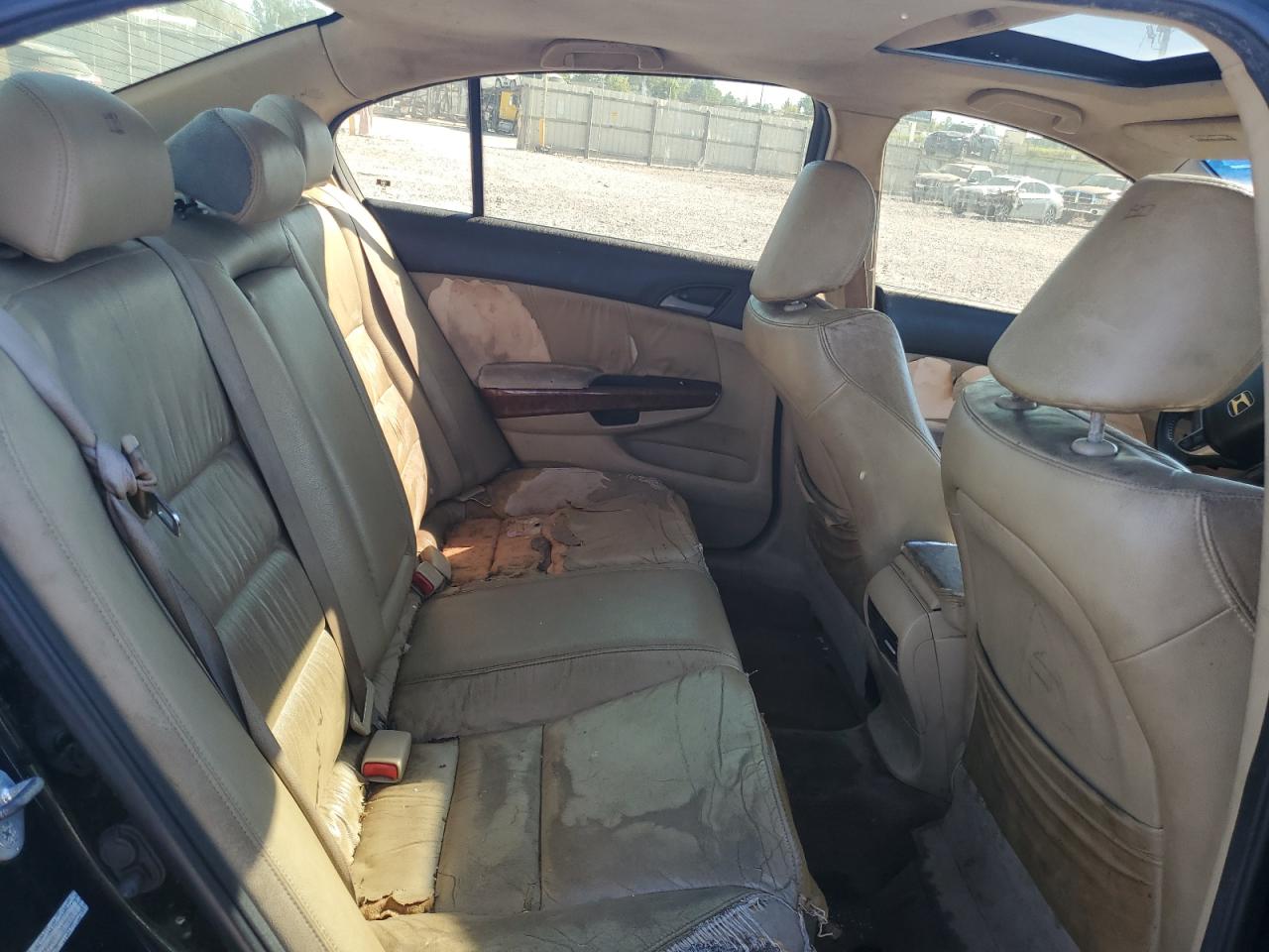 Lot #3317783067 2011 HONDA ACCORD EXL