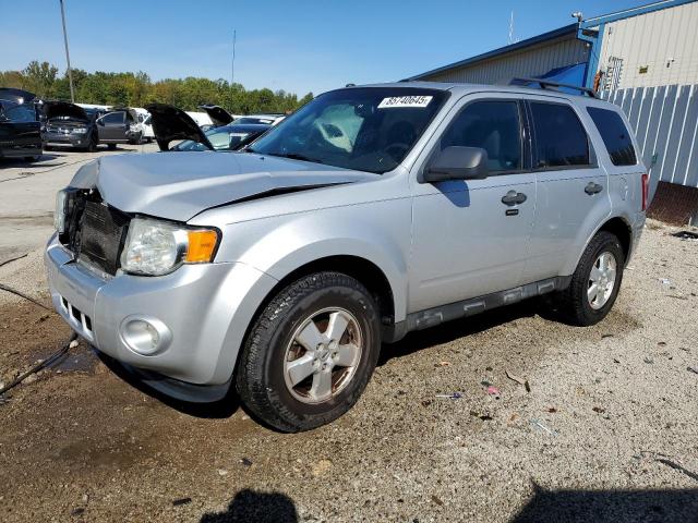Global Auto Auctions: 2012 FORD ESCAPE XLT