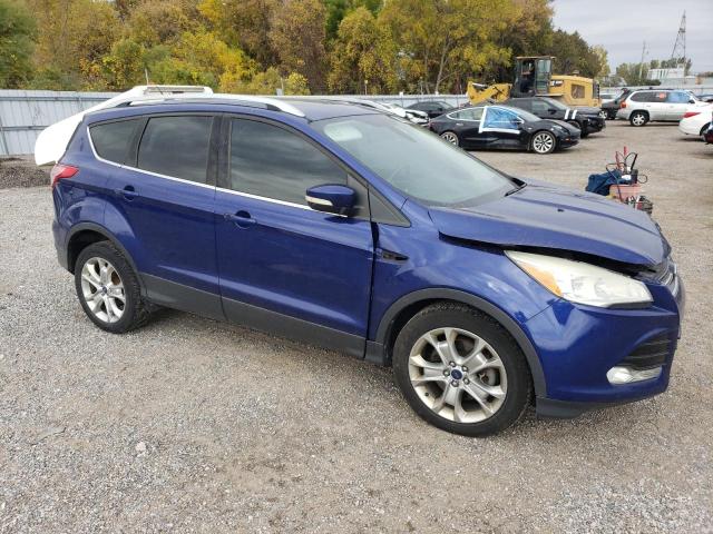 2014 FORD ESCAPE TIT - 1FMCU0J94EUD11313