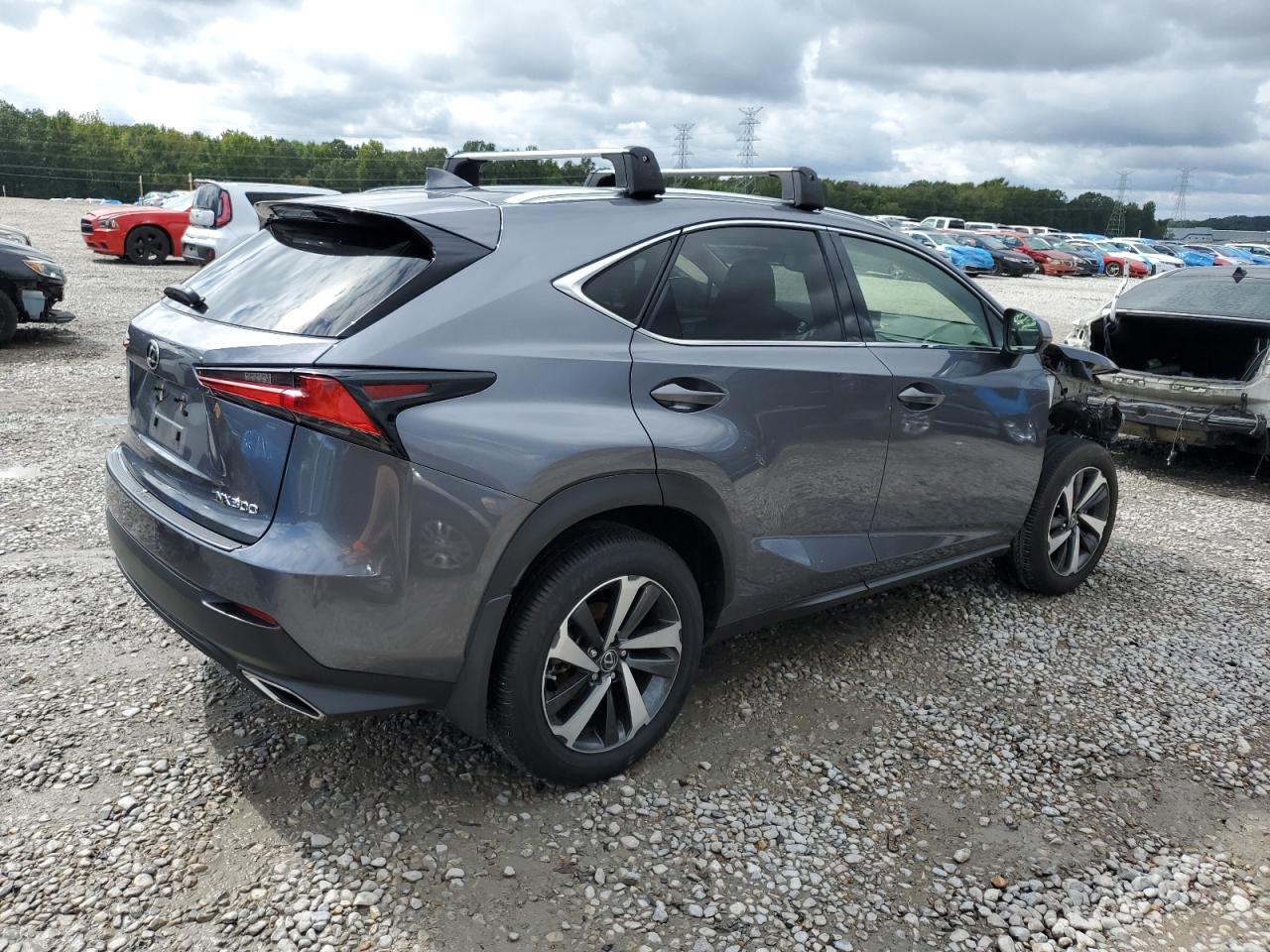LEXUS NX 300