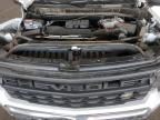 Lot #3305477074 2025 CHEVROLET SILVERADO