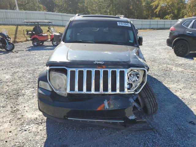 2010 JEEP LIBERTY LI - 1J4PP5GK3AW112153