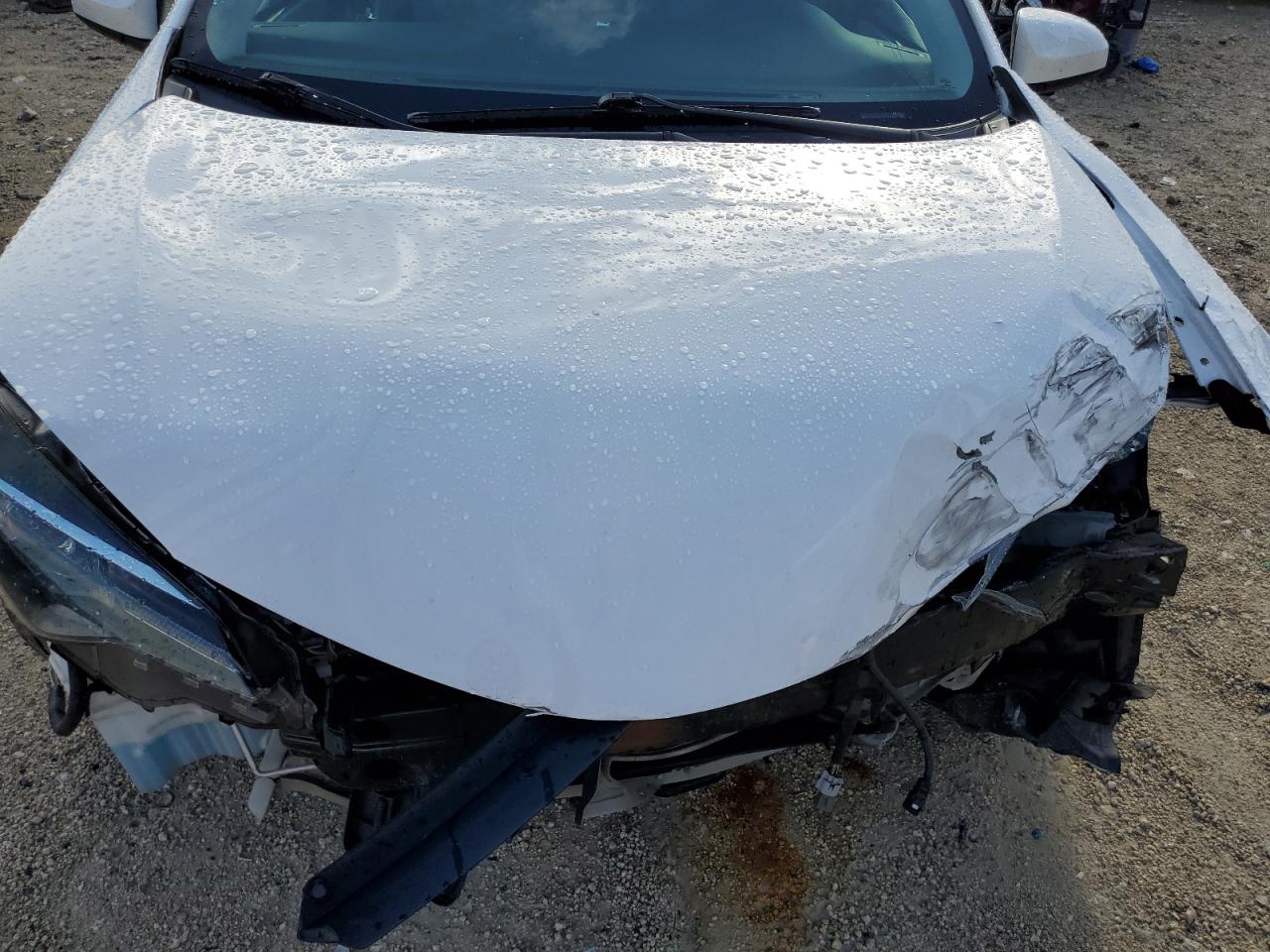 Lot #3309635066 2019 TOYOTA COROLLA L