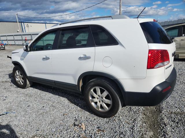 2011 KIA SORENTO BA - 5XYKT4A20BG160092