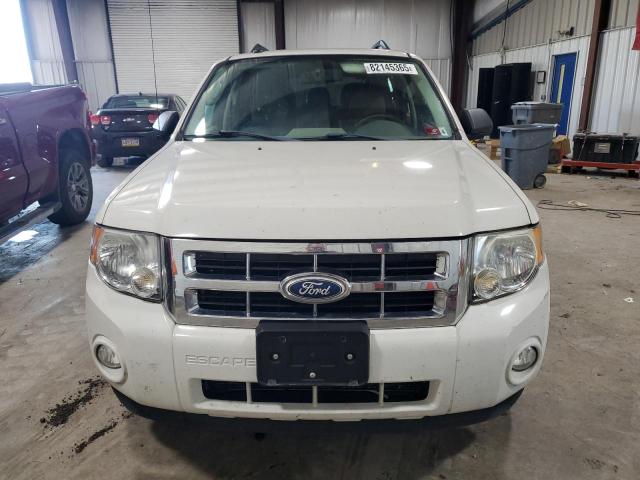 2011 FORD ESCAPE XLT - 1FMCU9DG4BKA66941