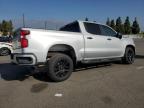 Lot #3294306882 2021 CHEVROLET SILVERADO