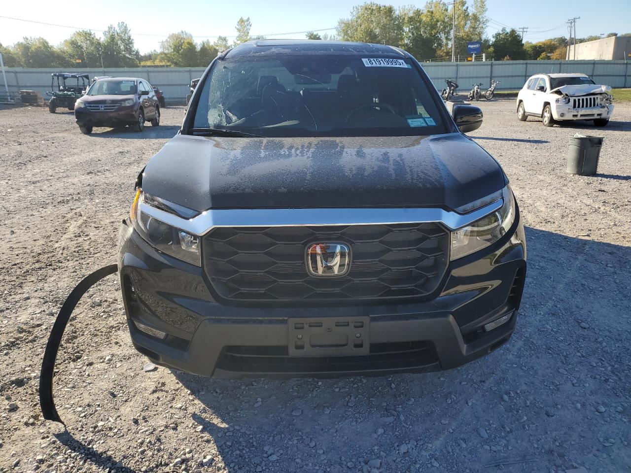 HONDA PASSPORT EXL