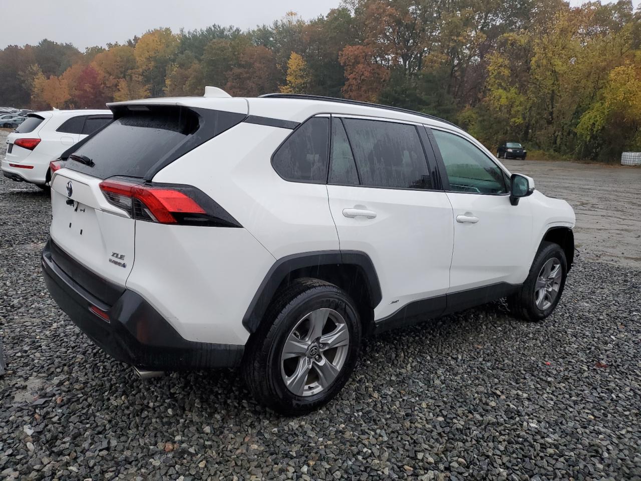 TOYOTA RAV4 XLE