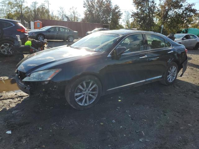 Global Auto Auctions: 2010 LEXUS ES 350