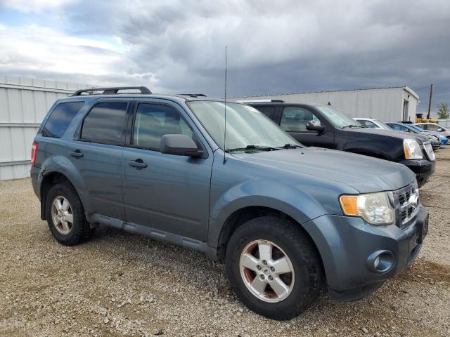 2010 FORD ESCAPE XLT - 1FMCU9DG7AKA79228