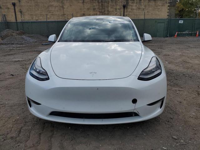 2021 TESLA MODEL Y - 5YJYGDEE7MF106303