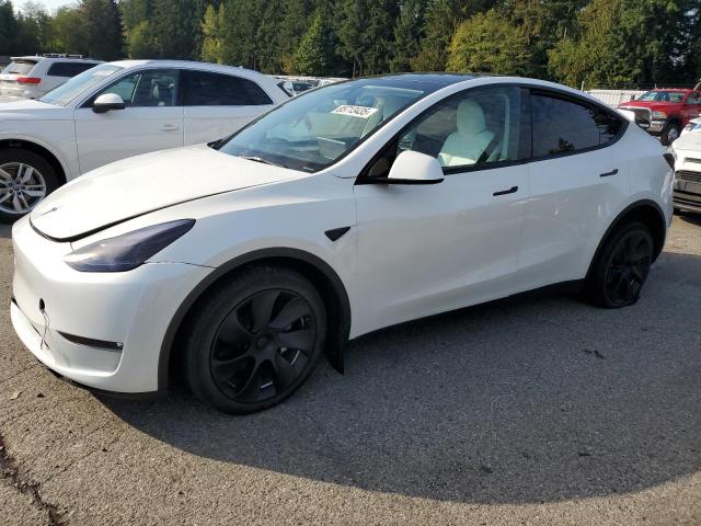 Global Auto Auctions: 2023 TESLA MODEL Y