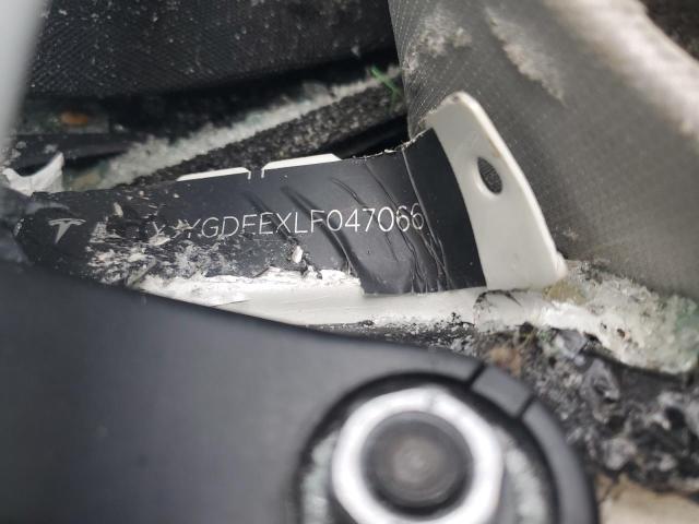 2020 TESLA MODEL Y #3260669650