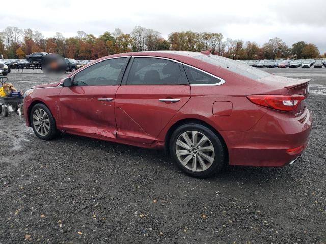 2015 HYUNDAI SONATA SPO #3276838577