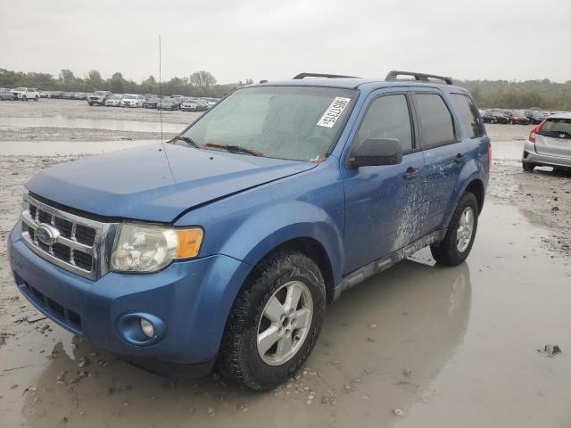 2010 FORD ESCAPE XLT - 1FMCU9DGXAKA01316