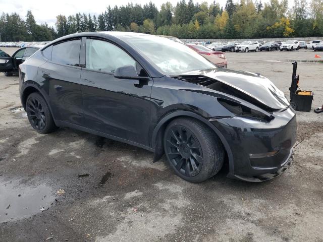 2024 TESLA MODEL Y #3302963639
