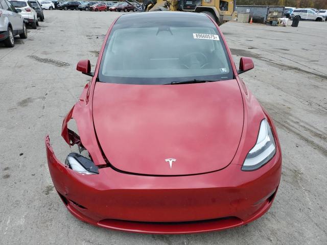 2023 TESLA MODEL Y #3303880717