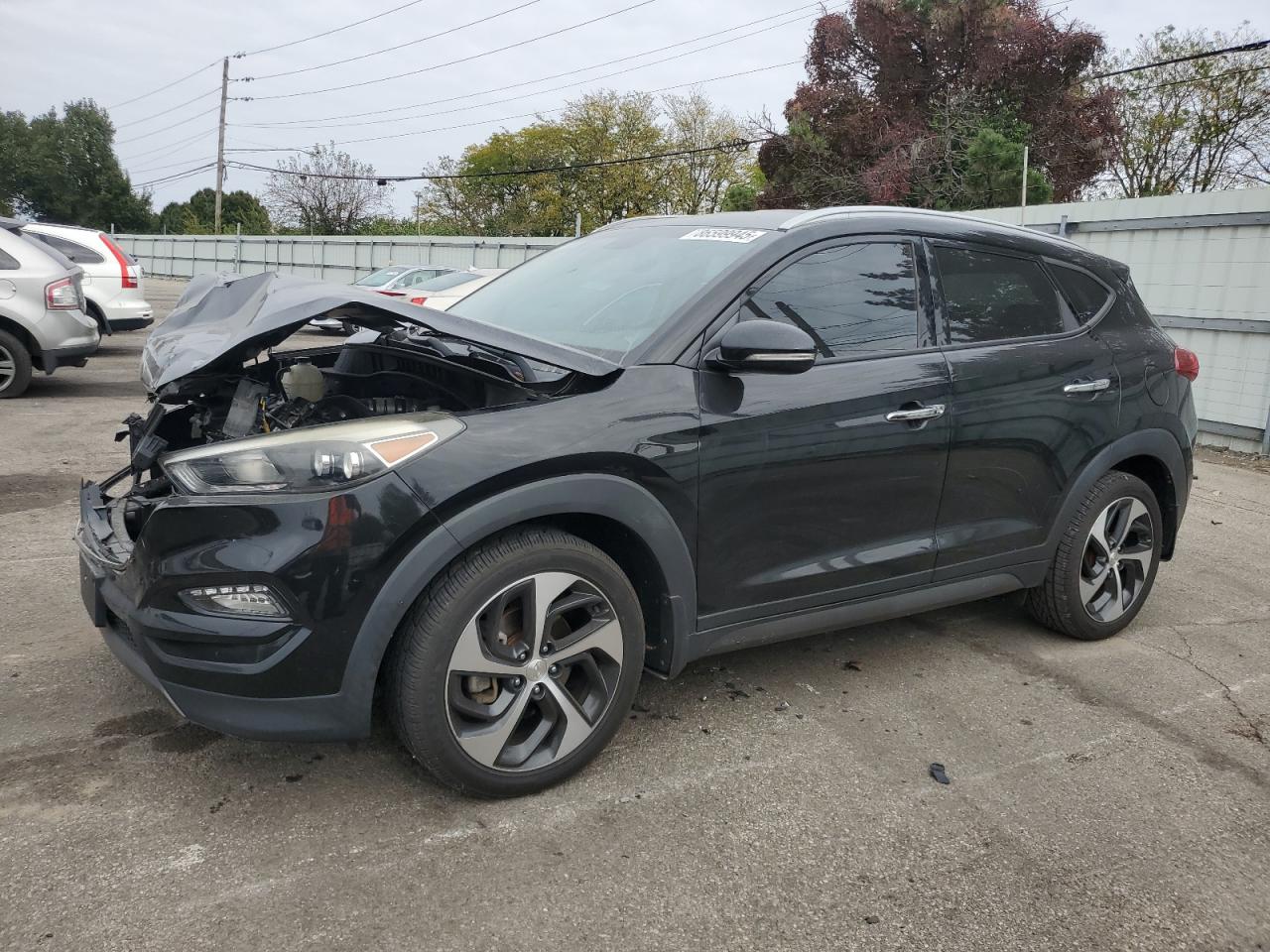 Lot #3281647408 2016 HYUNDAI TUCSON LIM