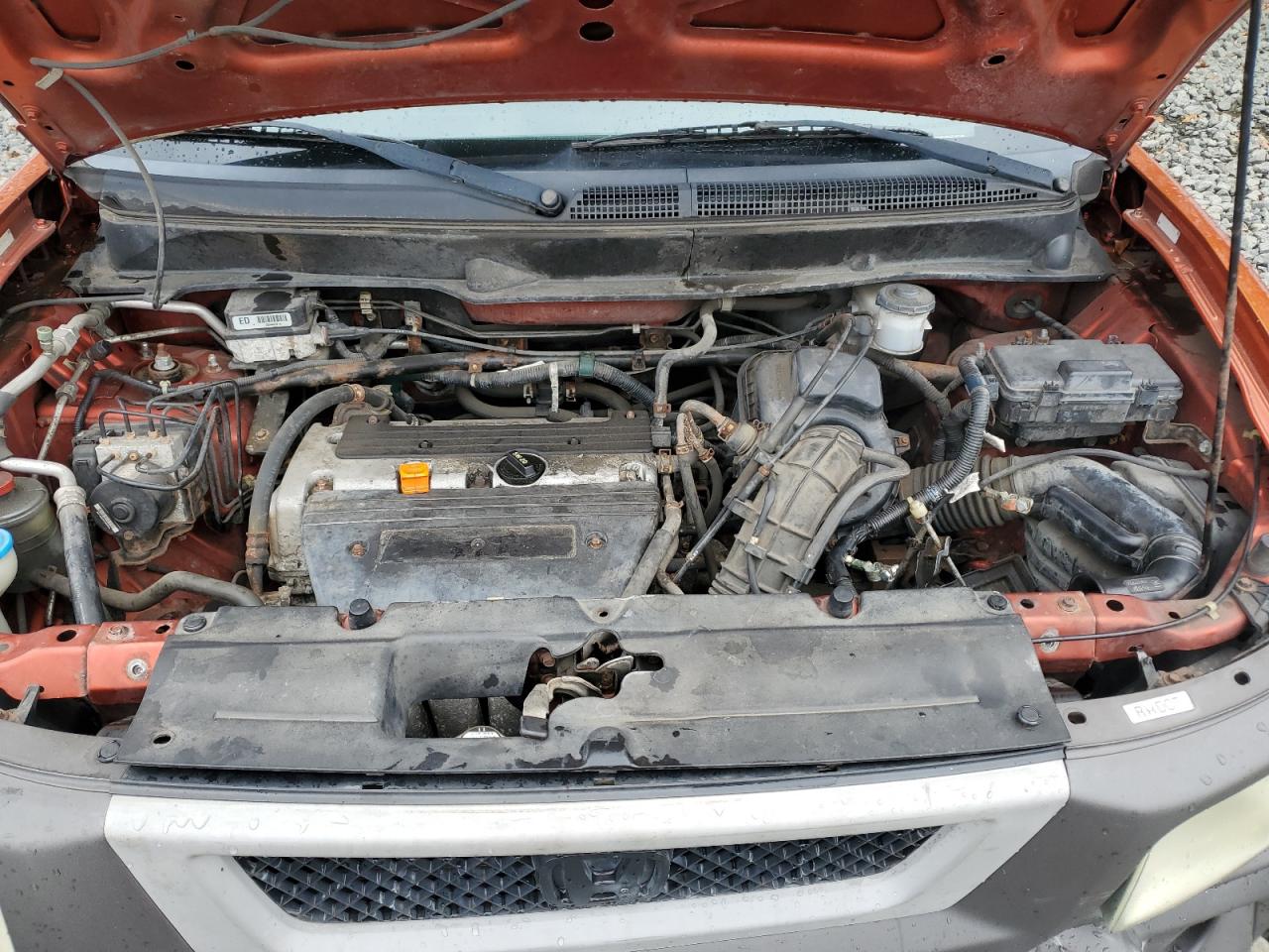 Lot #3265086876 2004 HONDA ELEMENT EX