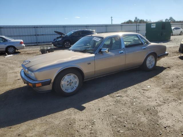 JAGUAR VANDENPLAS