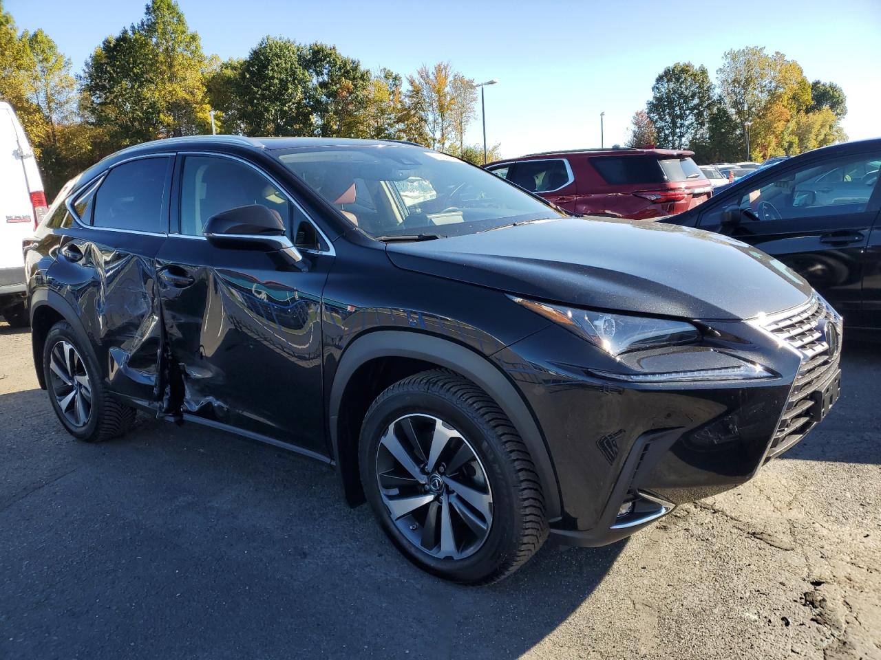 LEXUS NX 300