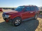 Lot #3296442637 2012 FORD ESCAPE XLT