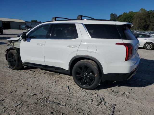 2025 HYUNDAI PALISADE X #3294478520