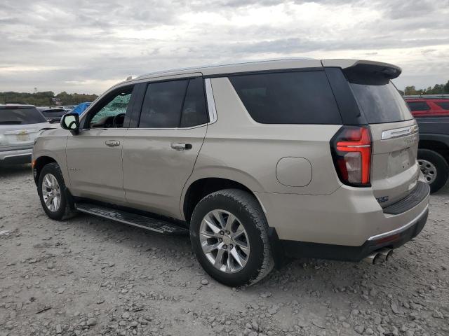 2021 CHEVROLET TAHOE K150 - 1GNSKSKD2MR190617