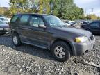 Lot #3312445623 2007 FORD ESCAPE XLS