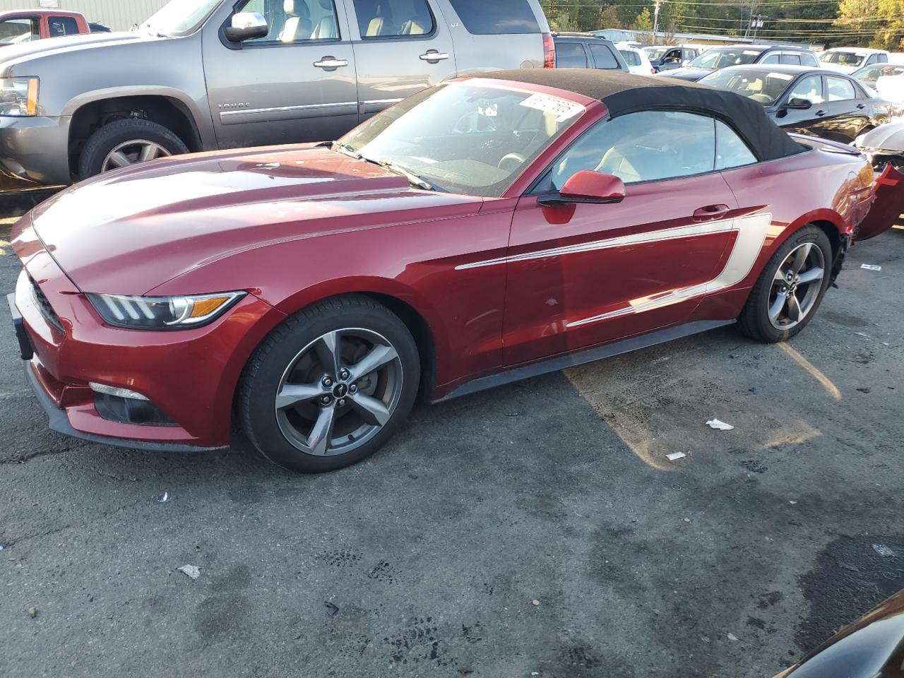 Lot #3281663392 2016 FORD MUSTANG
