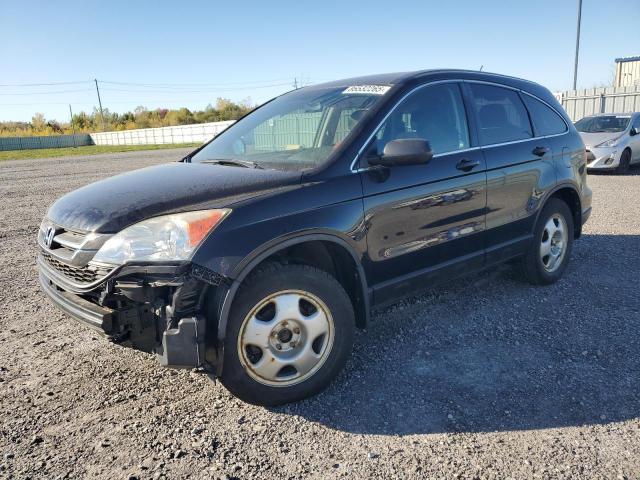 2010 HONDA CR-V LX - 5J6RE3H33AL803386