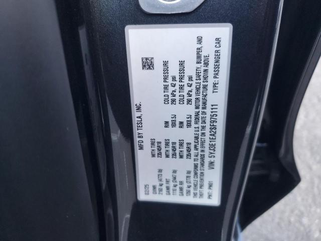 2025 TESLA MODEL 3 #3311839193