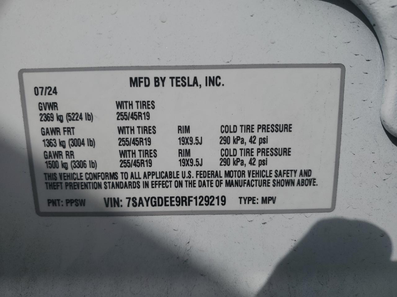 Lot #3302835912 2024 TESLA MODEL Y