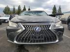 Lot #3304727929 2022 LEXUS ES 300H BA