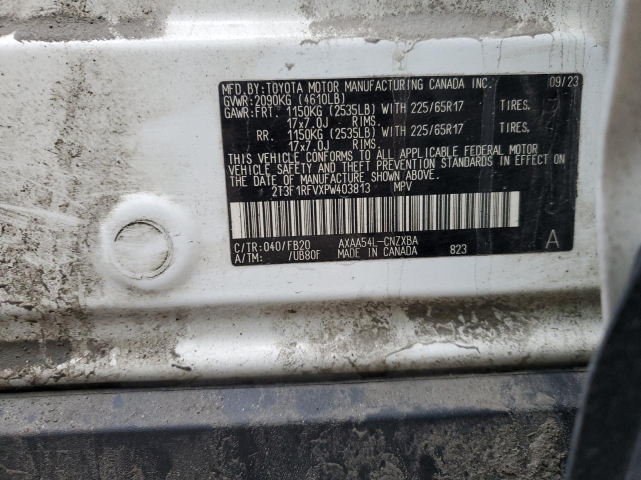 Lot #3303705026 2023 TOYOTA RAV4 LE