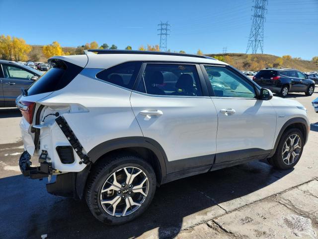 2022 KIA SELTOS EX - KNDERCAA5N7294448