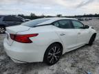 Lot #3310546044 2017 NISSAN MAXIMA