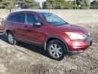 Lot #3304698931 2011 HONDA CR-V SE