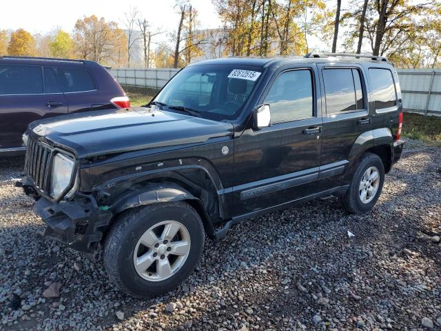 Global Auto Auctions: 2010 JEEP LIBERTY SP