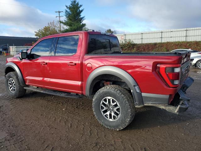 2022 FORD F150 RAPTO #3284839529