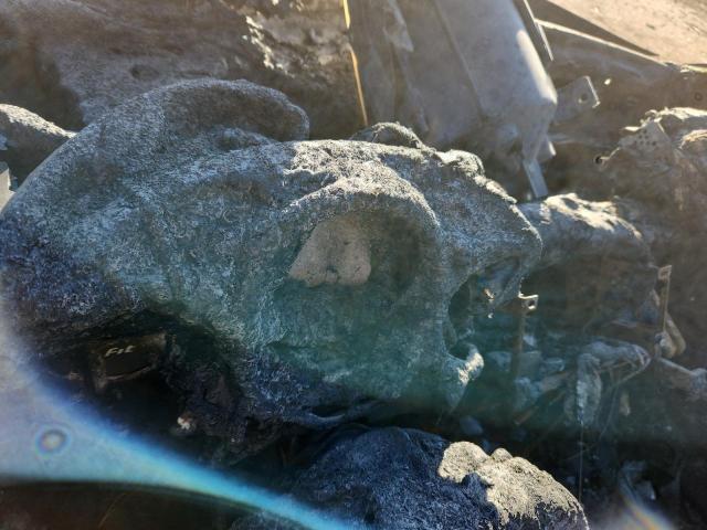 2007 HONDA FIT S #3305415308