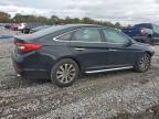 Lot #3308456275 2016 HYUNDAI SONATA SPO