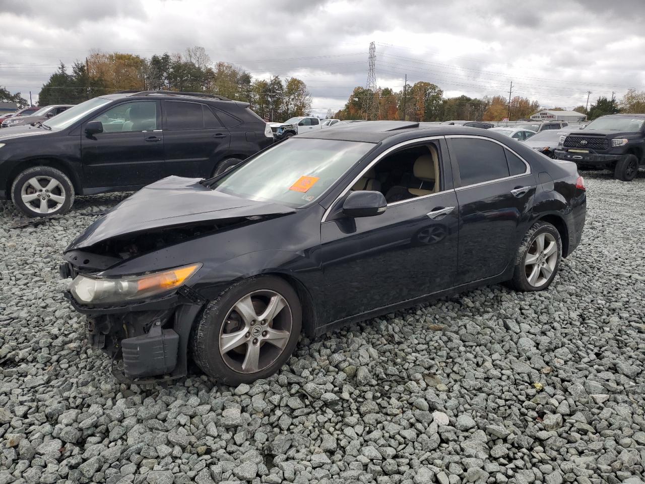 Lot #3290128282 2009 ACURA TSX