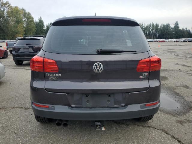 2016 VOLKSWAGEN TIGUAN S WVGBV7AX4GW566499
