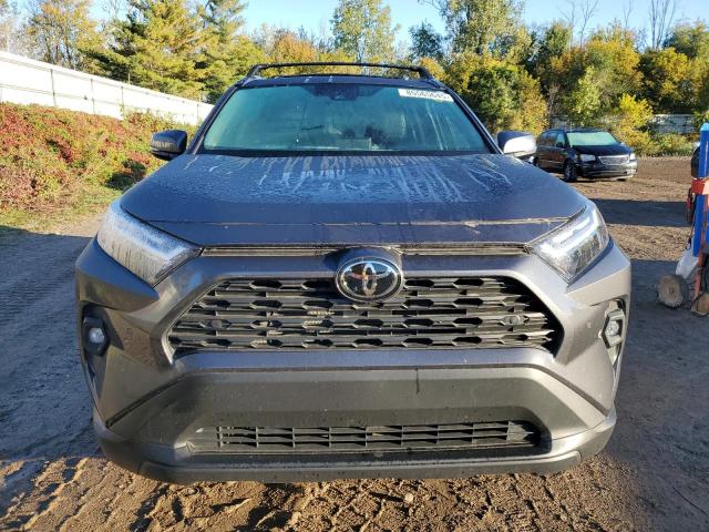 2024 TOYOTA RAV4 XLE P #3283876434