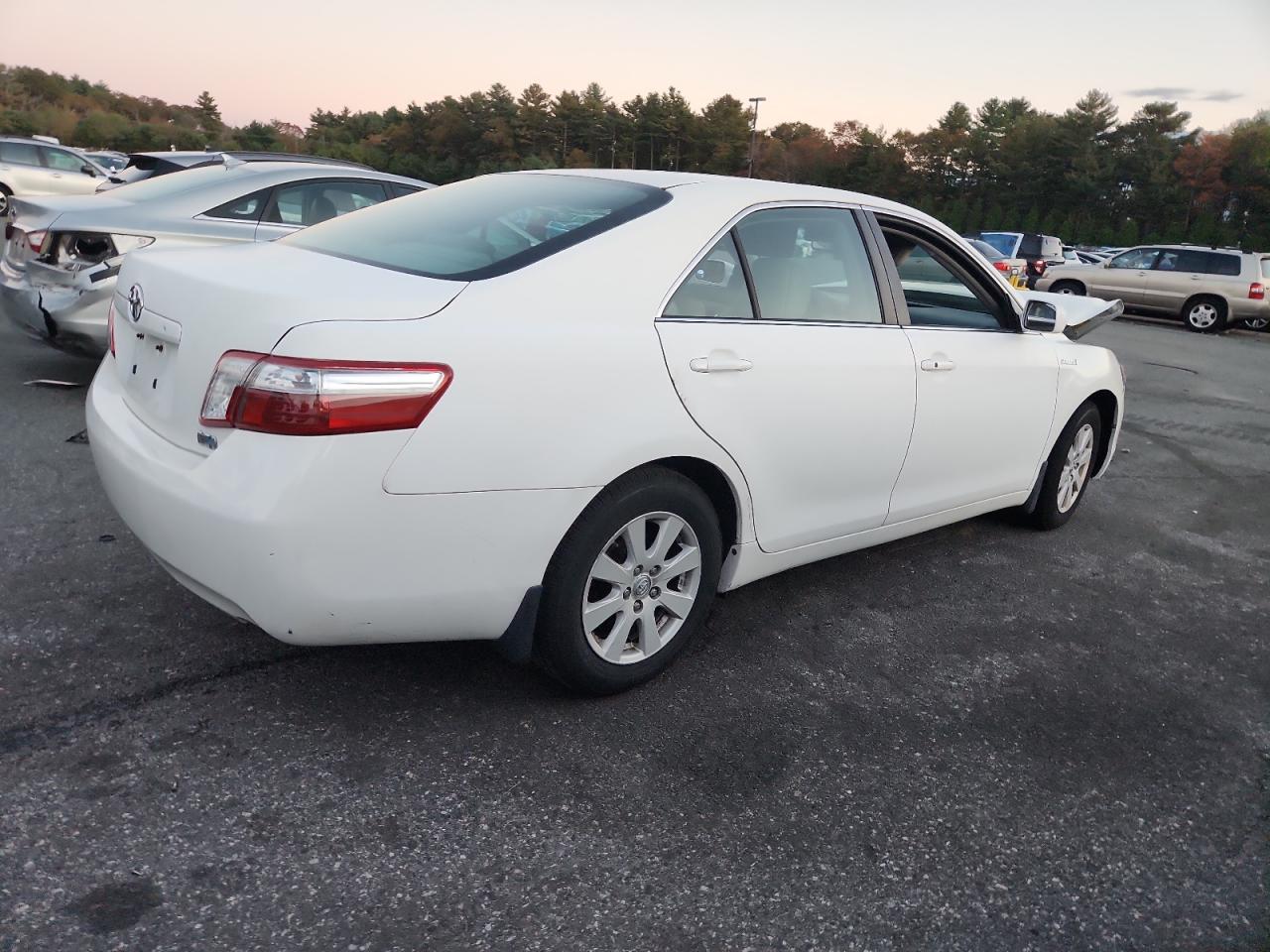 Lot #3276628077 2009 TOYOTA CAMRY HYBRID