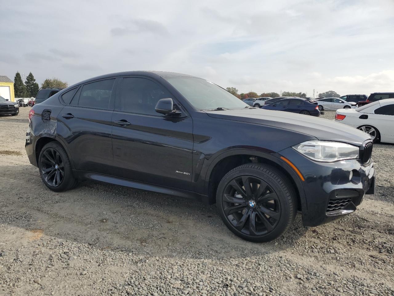 BMW X6 XDRIVE50I