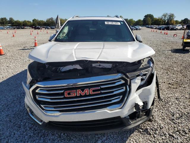 2022 GMC TERRAIN SLT #3298029180